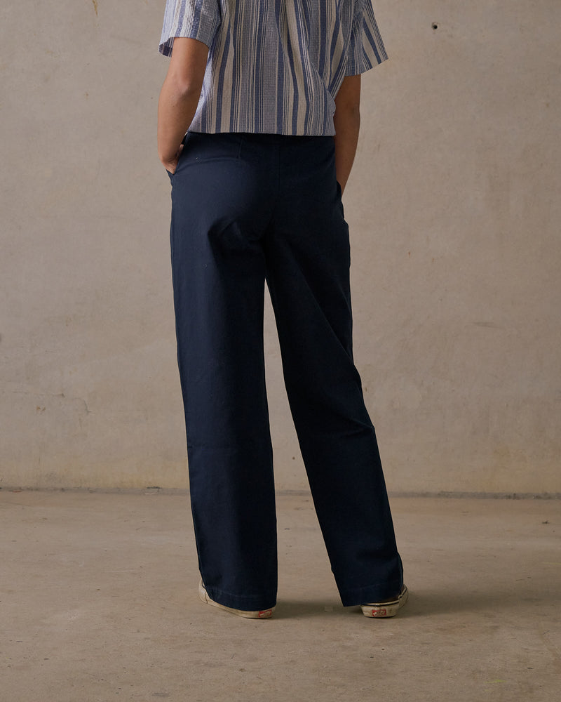 Double Pleated Twill Pants