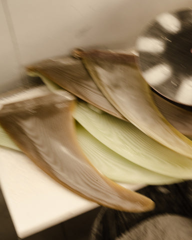 Fins