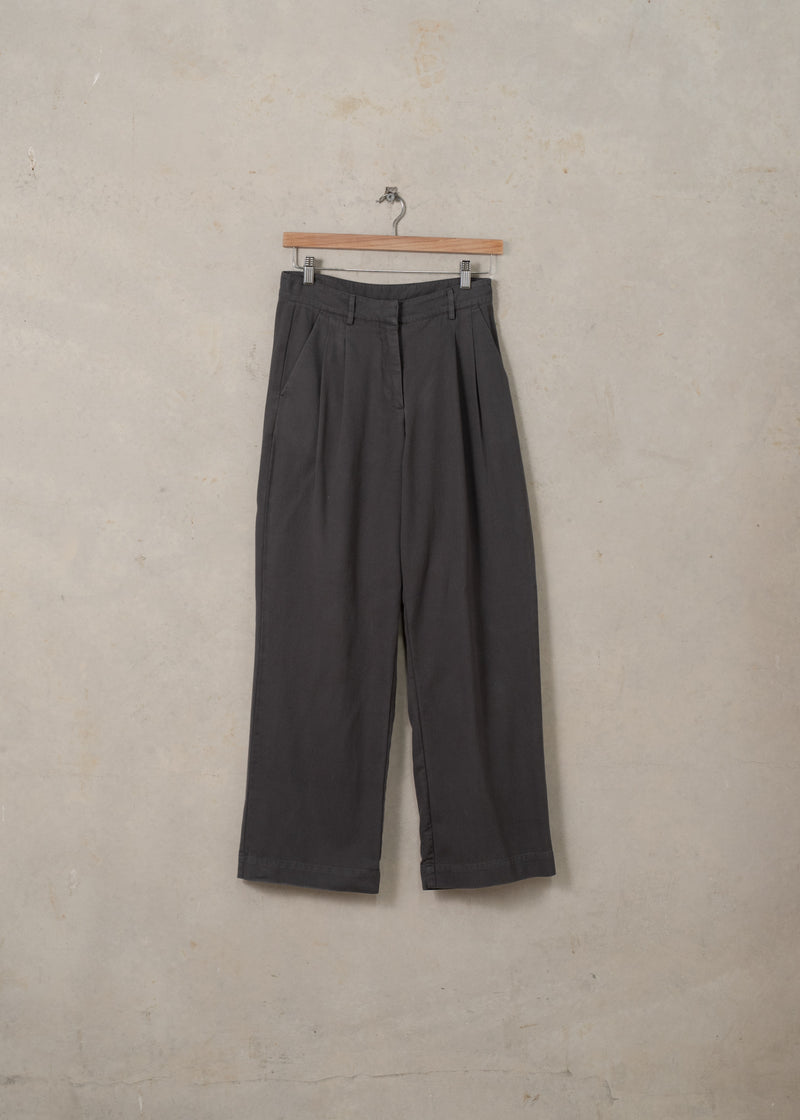 Double Pleated Twill Pants