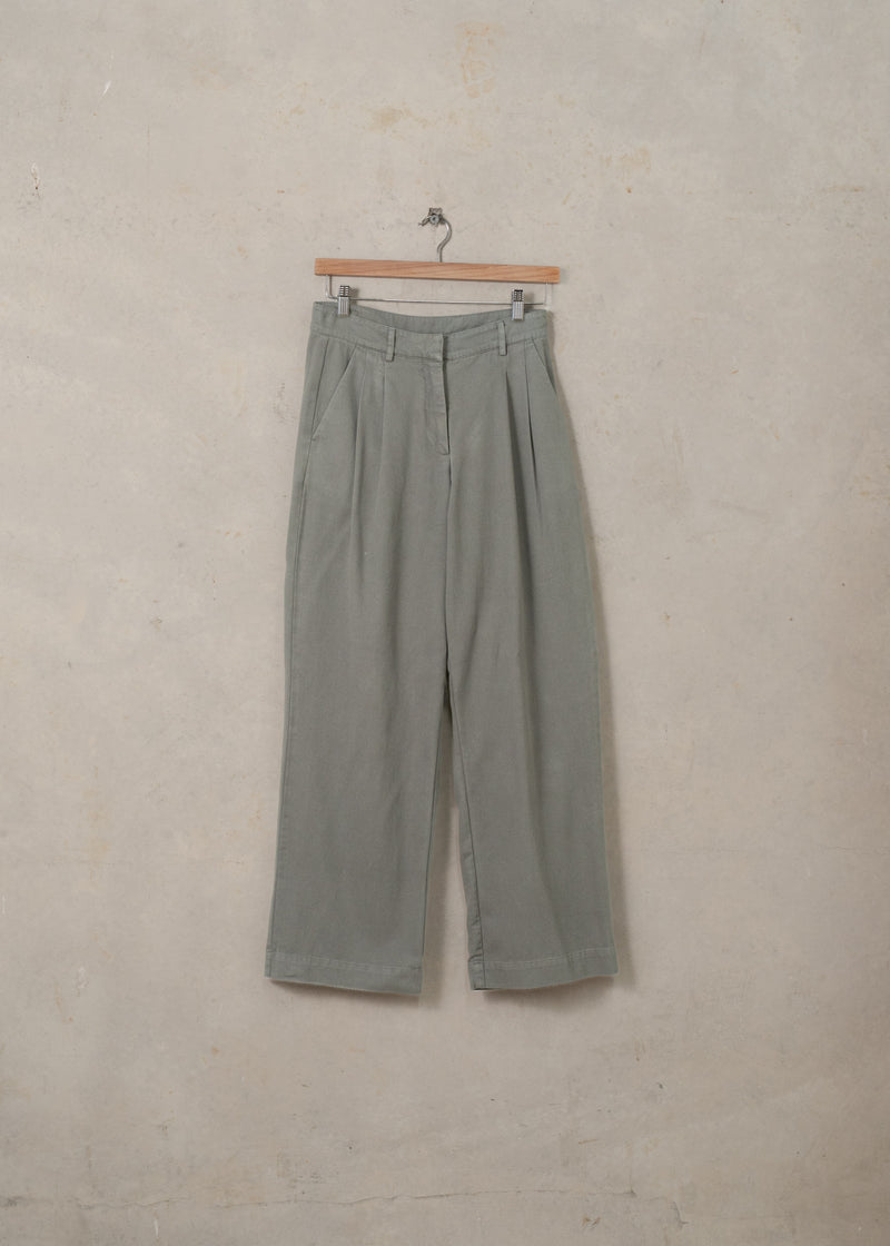 Double Pleated Twill Pants