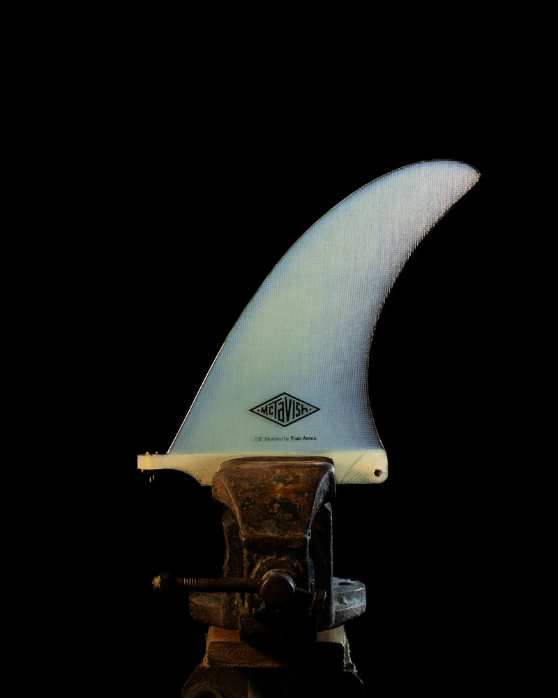 Bluebird Fin
