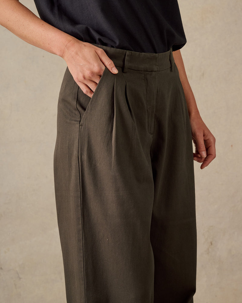 Double Pleated Twill Pants