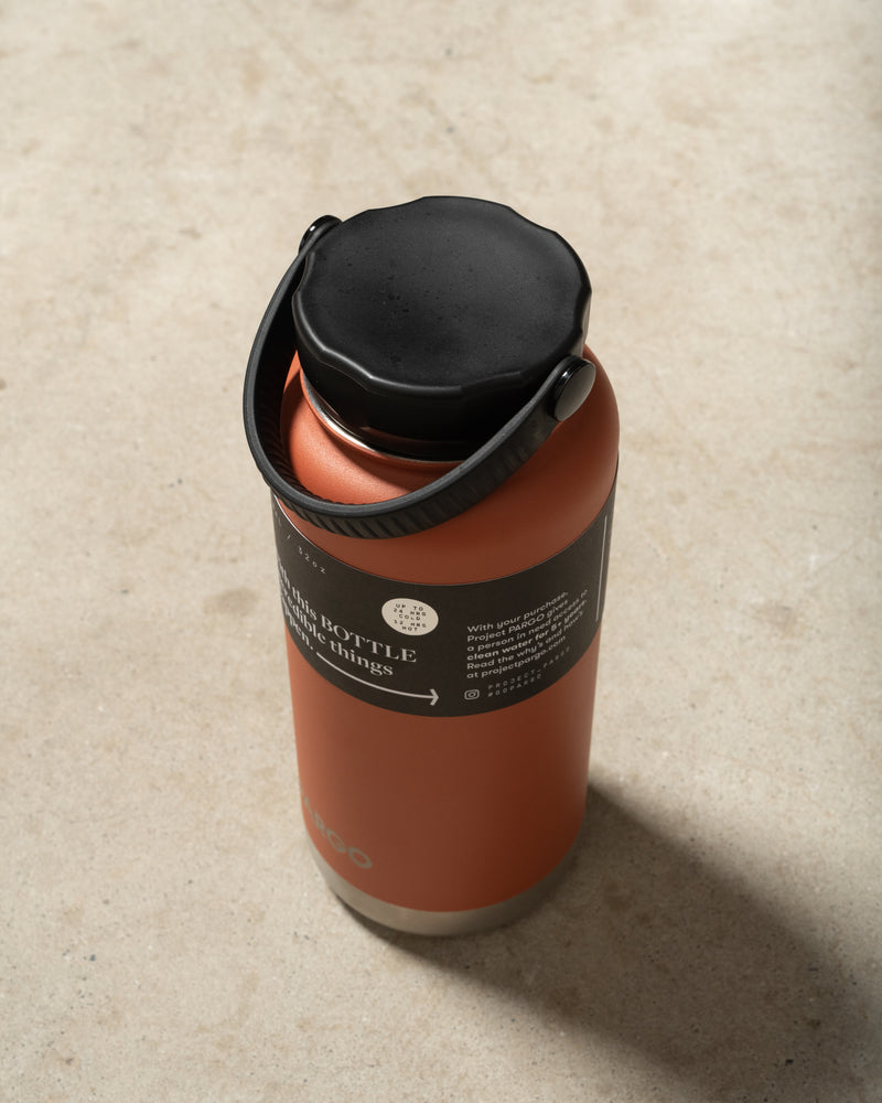 Project Pargo 950ml Insulated Drink Bottle